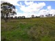 Lot 14 Forest Ridge Drive, Wallerawang NSW 2845