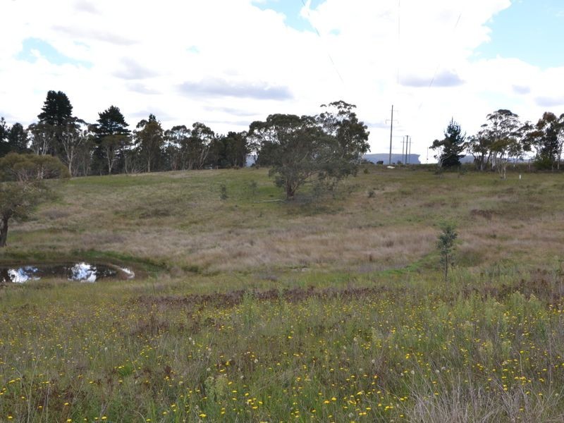 Lot 14 Forest Ridge Drive, Wallerawang NSW 2845