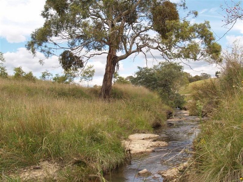 53 George Parade, Pipers Flat NSW 2847