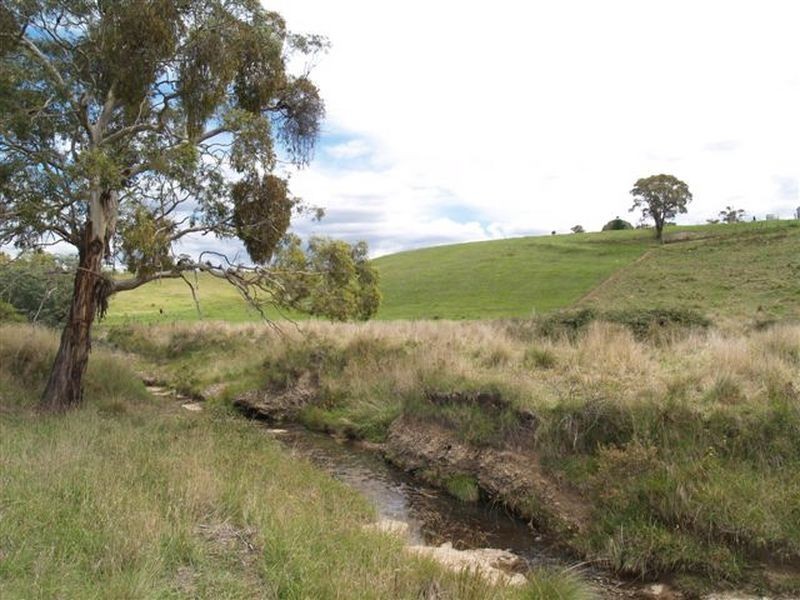 53 George Parade, Pipers Flat NSW 2847