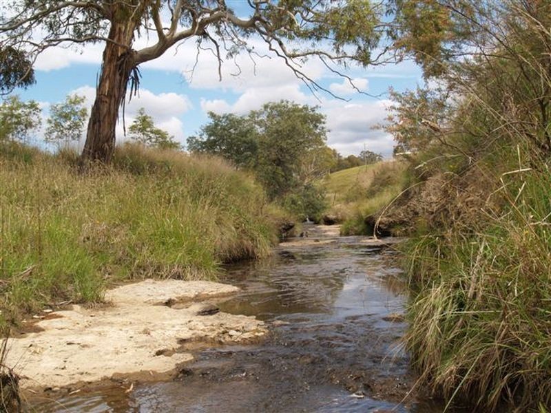 53 George Parade, Pipers Flat NSW 2847