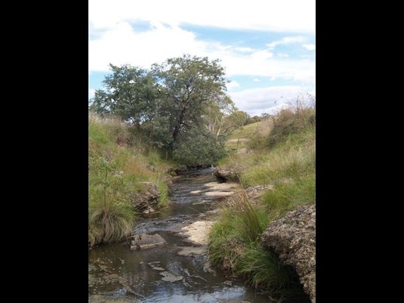 53 George Parade, Pipers Flat NSW 2847