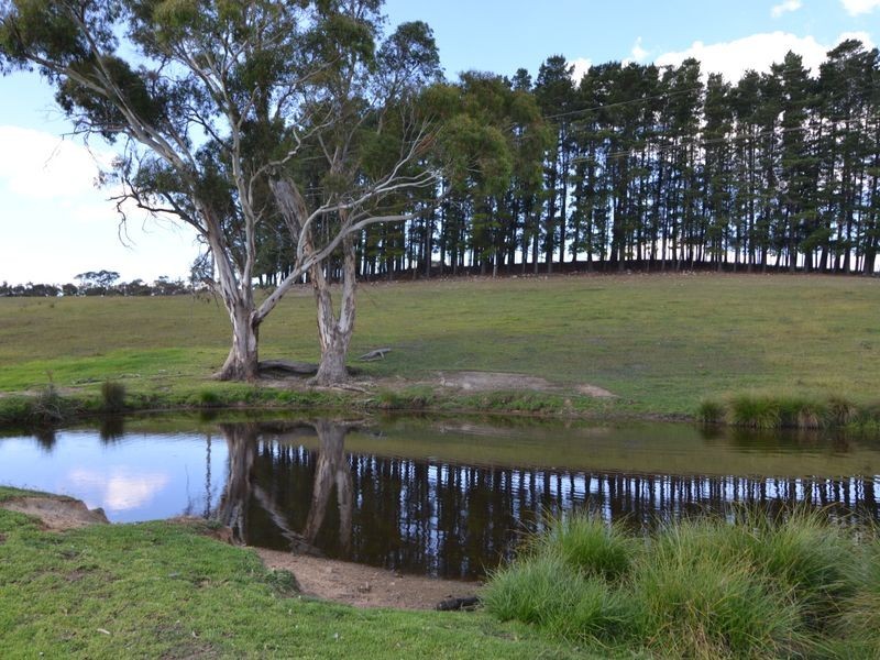 3700 Castlereagh Highway Eagle Park, Ben Bullen NSW 2790