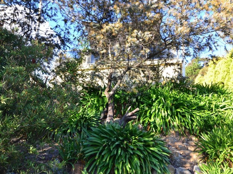 17 Blaxland Street, Lithgow NSW 2790