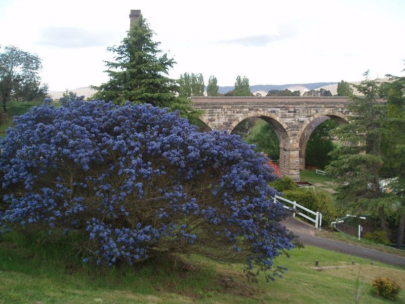 Hughes Lane –  Archvale, Marrangaroo NSW 2790