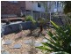 20 Cary Avenue, Wallerawang NSW 2845
