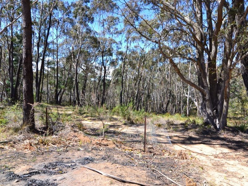 223 Kerma Crescent, Clarence NSW 2790