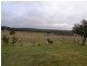 166 Sunny Corner Road, Portland NSW 2847