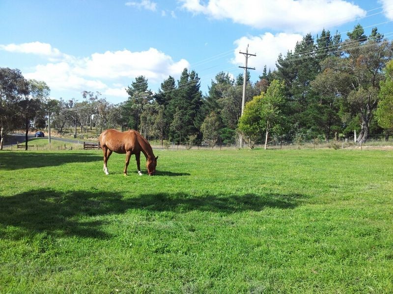 166 Sunny Corner Road, Portland NSW 2847