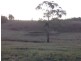 Pipers Flat NSW 2847