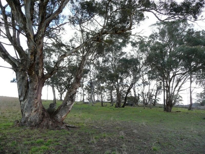 675 Sodwalls Road, Tarana NSW 2787