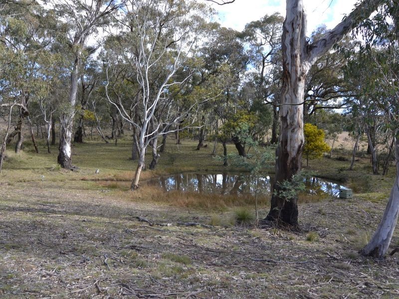 473 Thompsons Creek Road, Pipers Flat NSW 2847