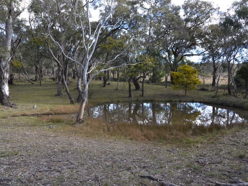 473 Thompsons Creek Road, Pipers Flat NSW 2847