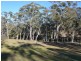 473 Thompsons Creek Road, Pipers Flat NSW 2847