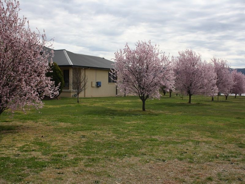 55 Mid Hartley Road, Hartley NSW 2790