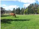166 Sunny Corner Road, Portland NSW 2847