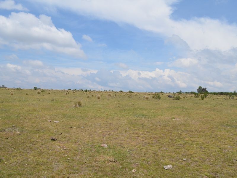 296 Thompsons Creek Road, Pipers Flat NSW 2847