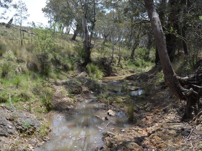 296 Thompsons Creek Road, Pipers Flat NSW 2847