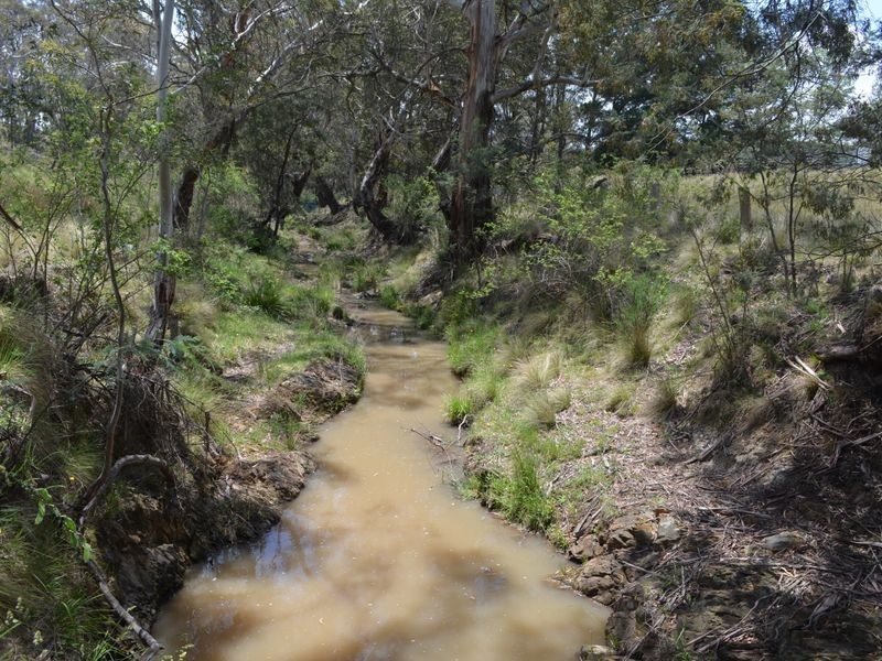 296 Thompsons Creek Road, Pipers Flat NSW 2847