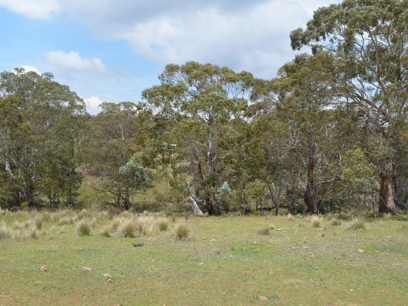 296 Thompsons Creek Road, Pipers Flat NSW 2847