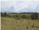 296 Thompsons Creek Road, Pipers Flat NSW 2847