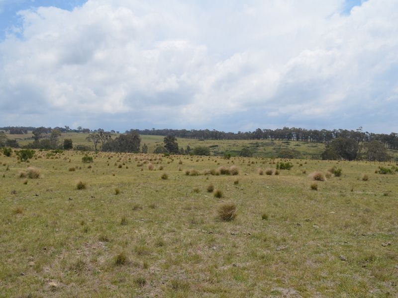 296 Thompsons Creek Road, Pipers Flat NSW 2847