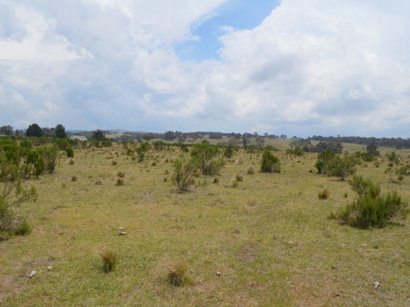 296 Thompsons Creek Road, Pipers Flat NSW 2847