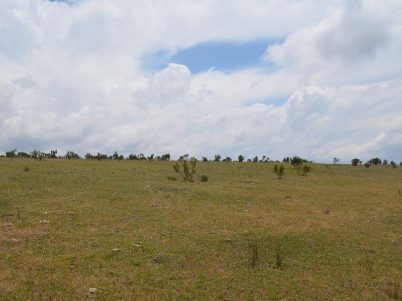 296 Thompsons Creek Road, Pipers Flat NSW 2847