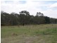 296 Thompsons Creek Road, Pipers Flat NSW 2847