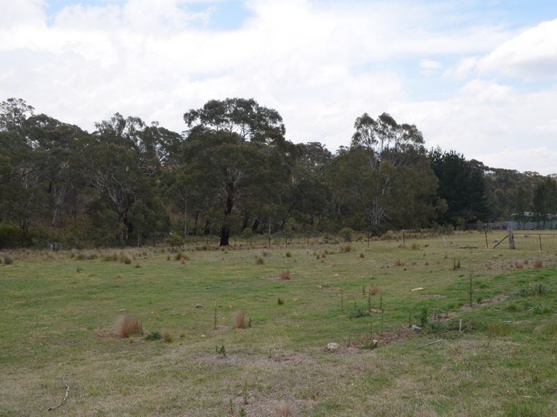296 Thompsons Creek Road, Pipers Flat NSW 2847