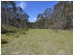 Lot 149 Willow Vale Lane, Wallerawang NSW 2845