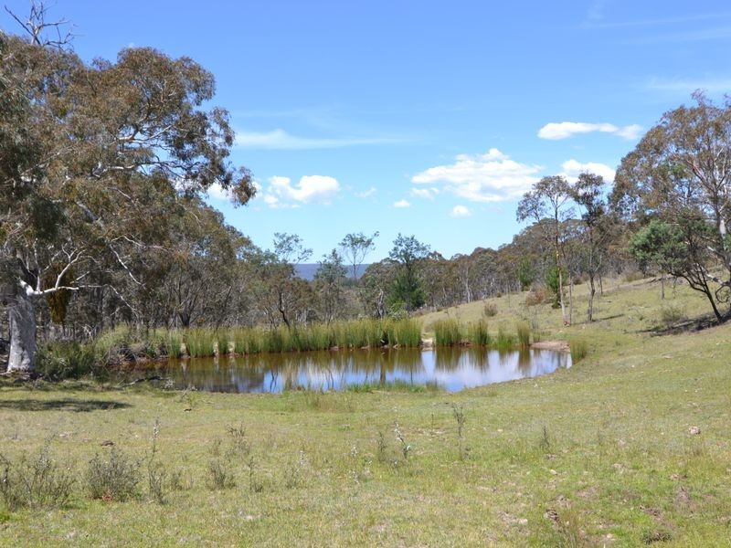 Lot 149 Willow Vale Lane, Wallerawang NSW 2845