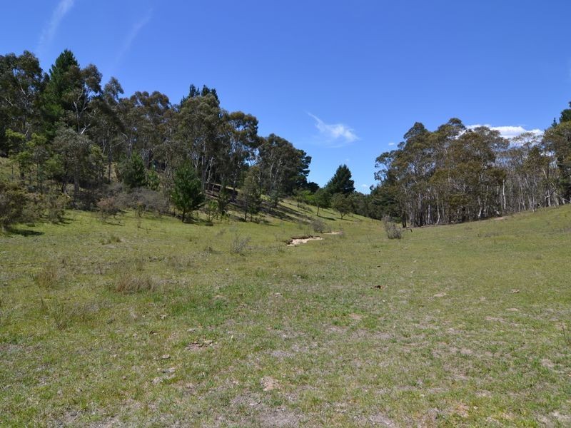 Lot 149 Willow Vale Lane, Wallerawang NSW 2845