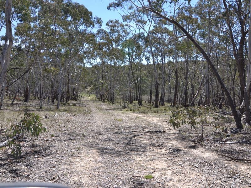 Lot 149 Willow Vale Lane, Wallerawang NSW 2845