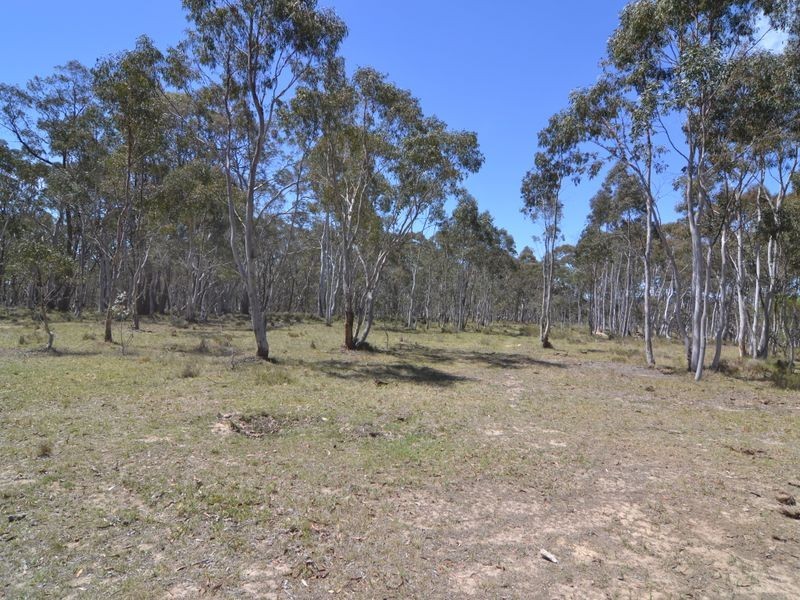 Lot 149 Willow Vale Lane, Wallerawang NSW 2845