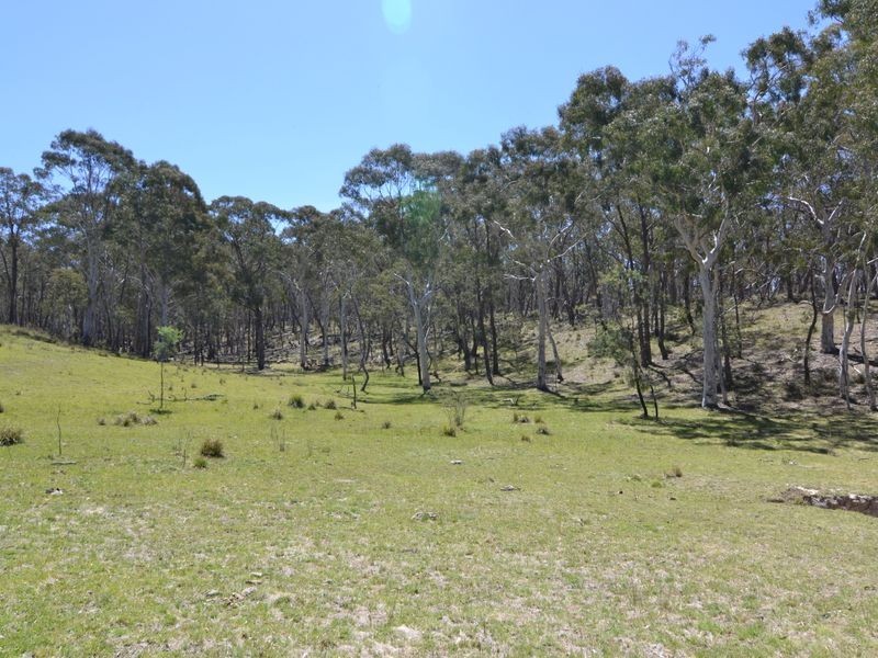 Lot 149 Willow Vale Lane, Wallerawang NSW 2845