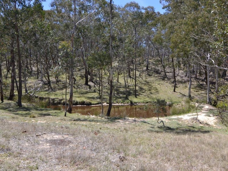 Lot 149 Willow Vale Lane, Wallerawang NSW 2845