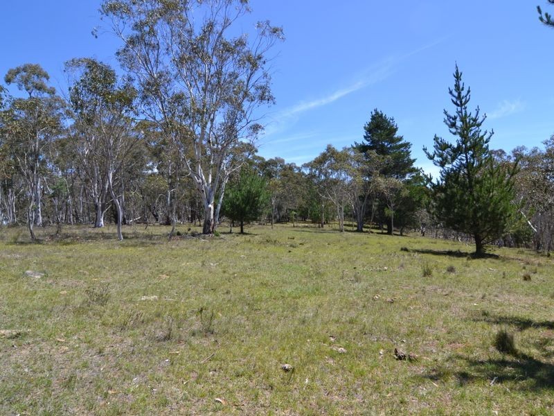 Lot 149 Willow Vale Lane, Wallerawang NSW 2845