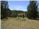 Lot 149 Willow Vale Lane, Wallerawang NSW 2845
