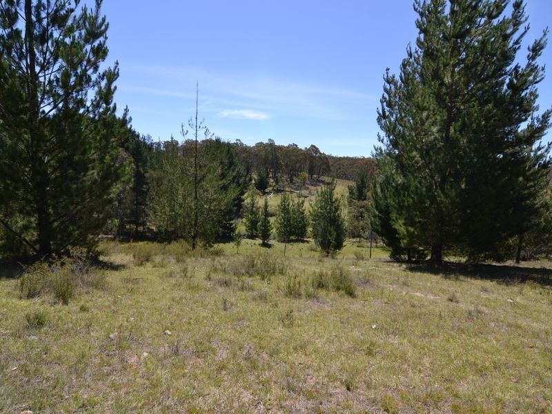 Lot 149 Willow Vale Lane, Wallerawang NSW 2845