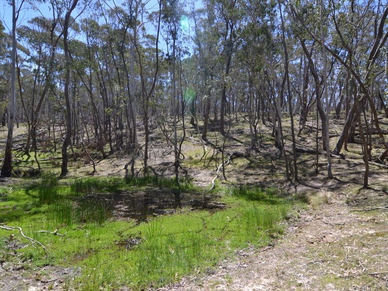 Lot 149 Willow Vale Lane, Wallerawang NSW 2845