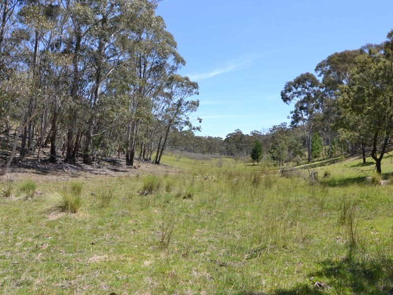 Lot 149 Willow Vale Lane, Wallerawang NSW 2845