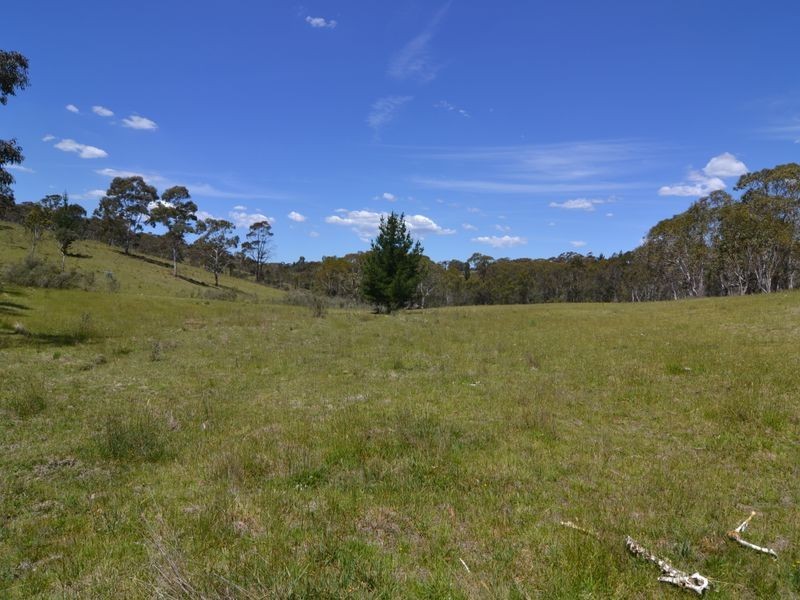 Lot 149 Willow Vale Lane, Wallerawang NSW 2845