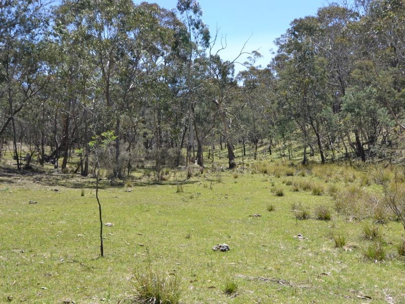 Lot 149 Willow Vale Lane, Wallerawang NSW 2845