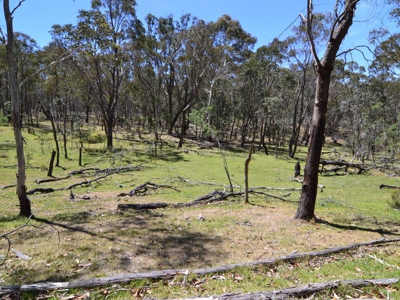 Lot 149 Willow Vale Lane, Wallerawang NSW 2845