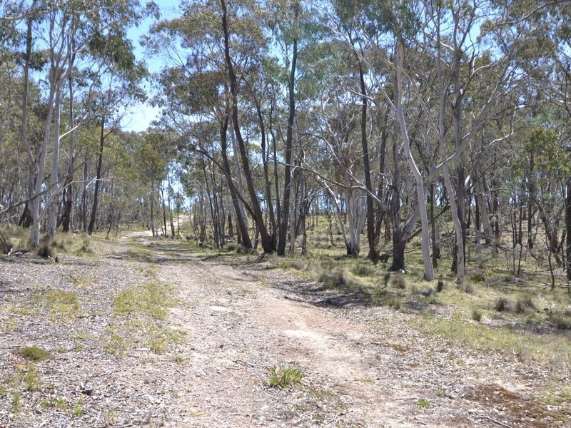 Lot 149 Willow Vale Lane, Wallerawang NSW 2845
