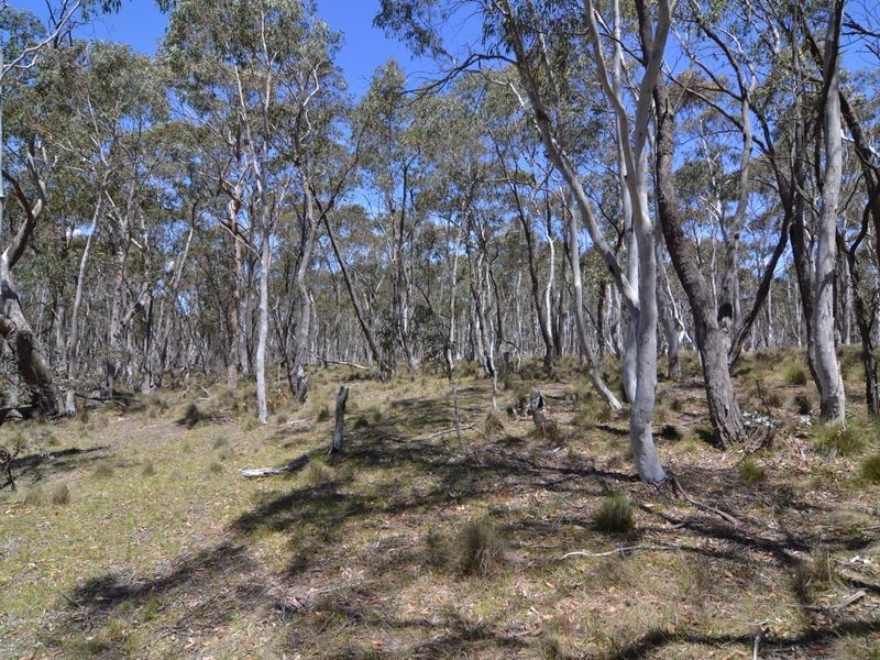 Lot 149 Willow Vale Lane, Wallerawang NSW 2845