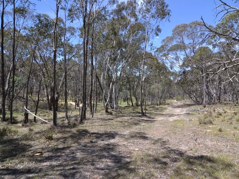 Lot 149 Willow Vale Lane, Wallerawang NSW 2845