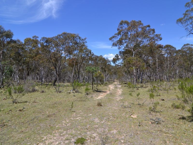 Lot 149 Willow Vale Lane, Wallerawang NSW 2845