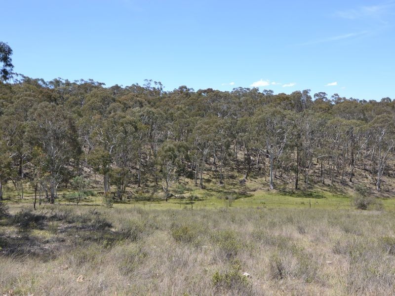 Lot 149 Willow Vale Lane, Wallerawang NSW 2845